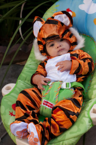Rainforest Bouncer with the toy bar removed